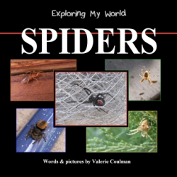 Exploring My World: Spiders Cover