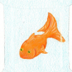 Bottled Goldfish