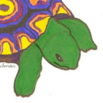 Dayglo Tortoise