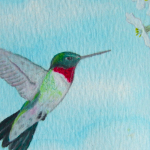 Hummingbird