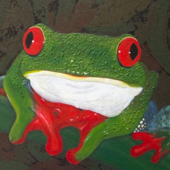 Tree Frog