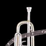 Where Will The Music Take You?